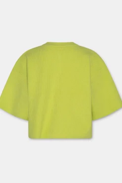 Cardigan Vega