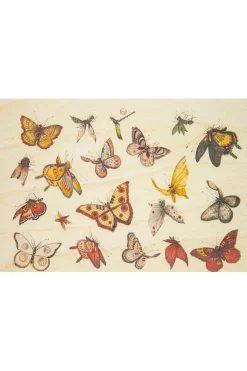 Carte De Voeux Postcard Bnf Ornements Papillons