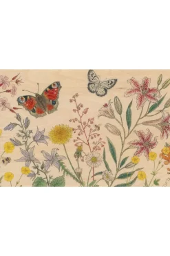 Carte De Voeux Postcard Black And Colors Butterflies