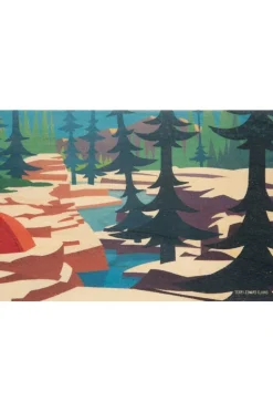 Carte De Voeux Postcard Forest