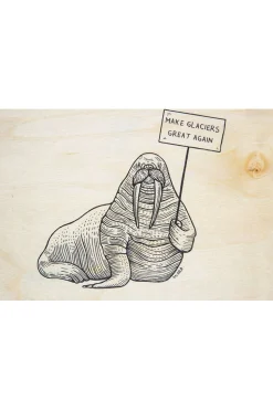 Carte De Voeux Woodh Postcard Winter Glaciers