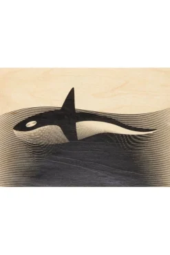 Gadget Postcard Orca