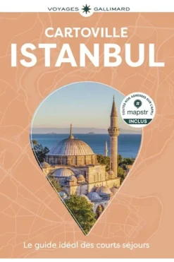 Istanbul cartoville