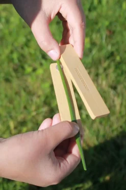 Jouet Hb Grass Whistle Fsc 100%