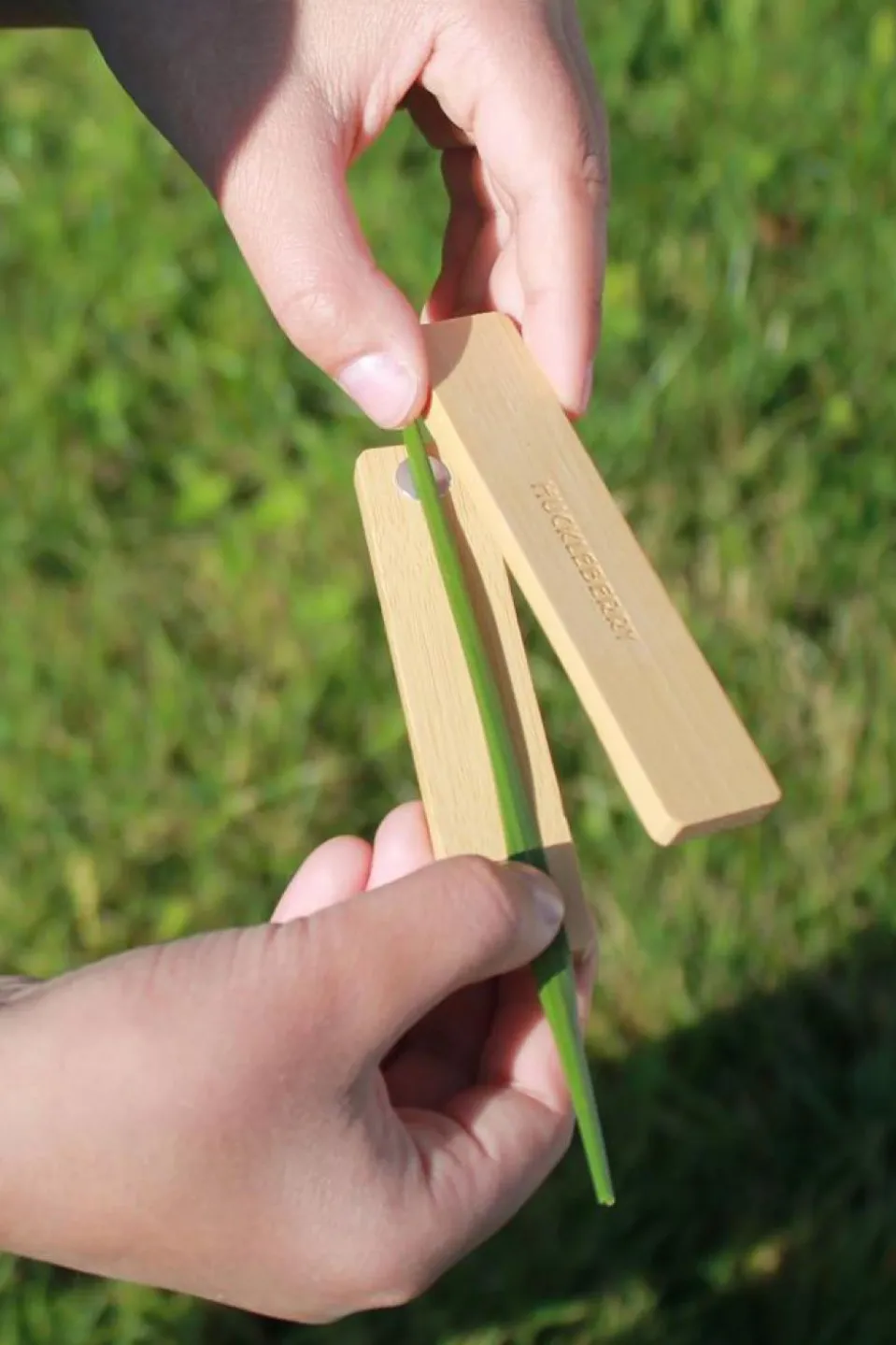 Jouet Hb Grass Whistle Fsc 100%