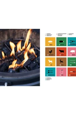 Livre Bbq Bijbel Deel 2
