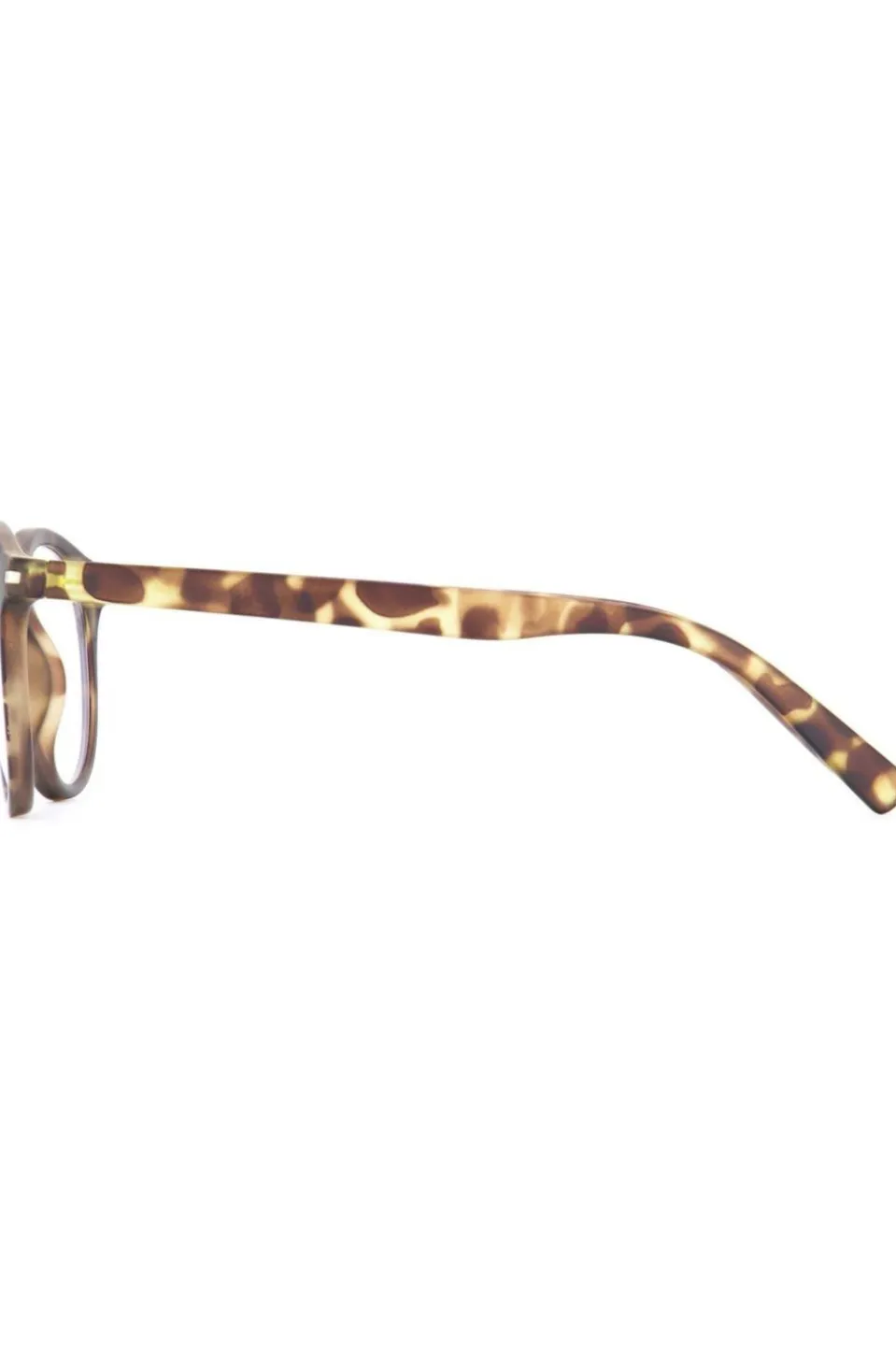 Lunettes de soleil Patnem