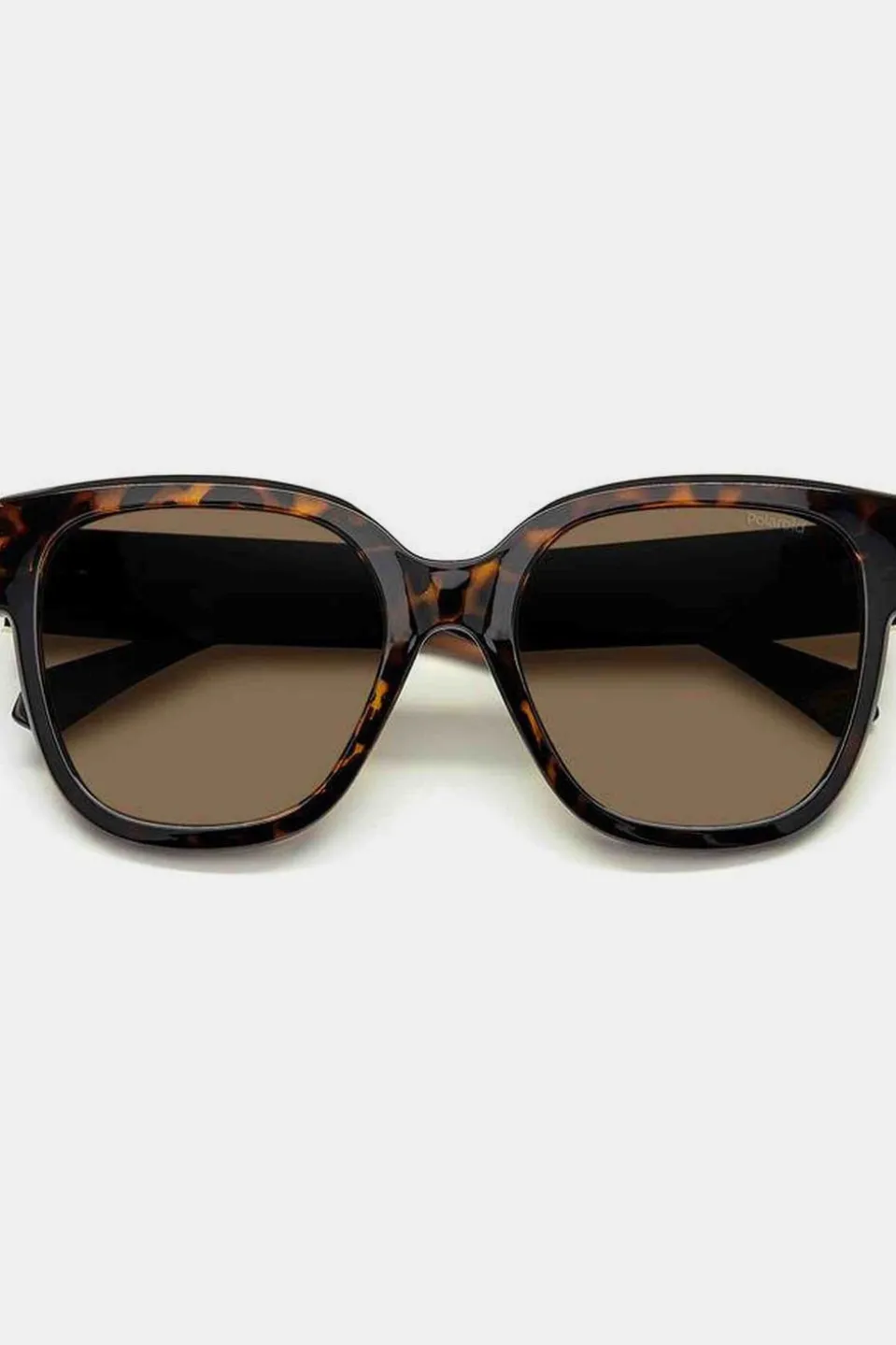 Lunettes De Soleil Pld 6167/S
