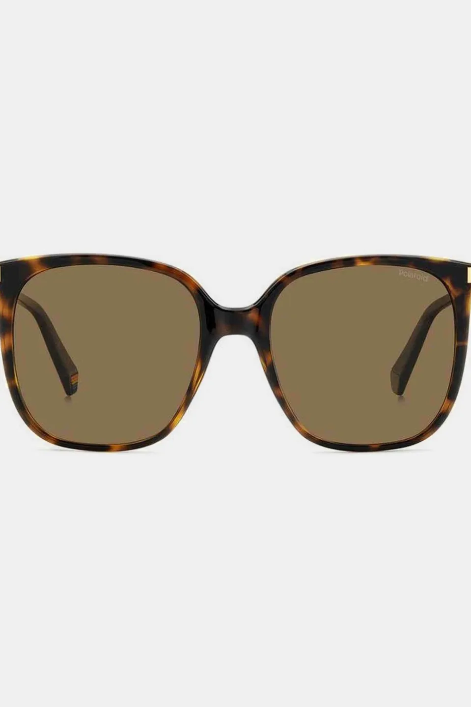 Lunettes De Soleil Pld 6167/S