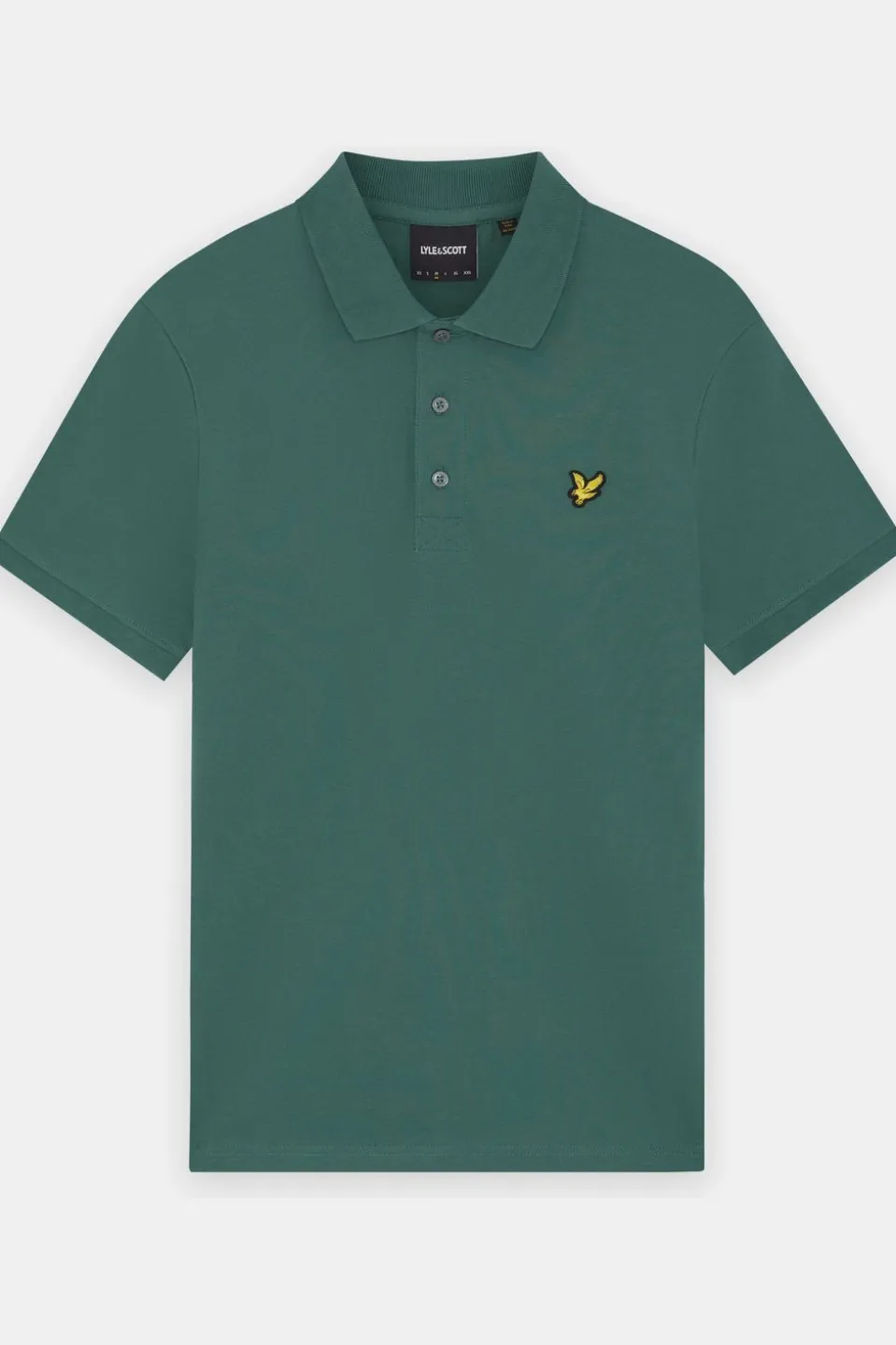 Polo Plain