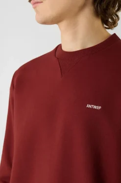 Pull Basic Sweat