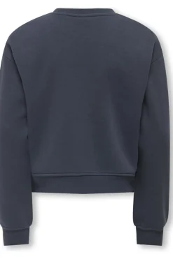 Pull Kogsweat Life Crew O.Size Stat