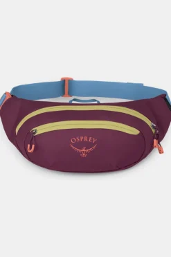 Sac Banane Daylite Waist Pack