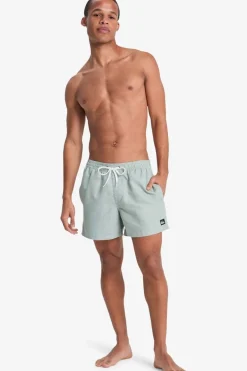 Short De Bain Everyday Deluxe Volley 15