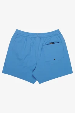 Short De Bain Everyday Flex Volley 15