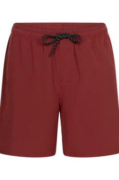 Short De Bain Iconic-N Men