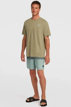 Short De Bain O'Neill Logo Stripe 16''