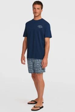 Short De Bain Print 16''
