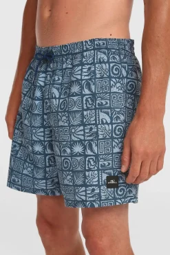 Short De Bain Print 16''