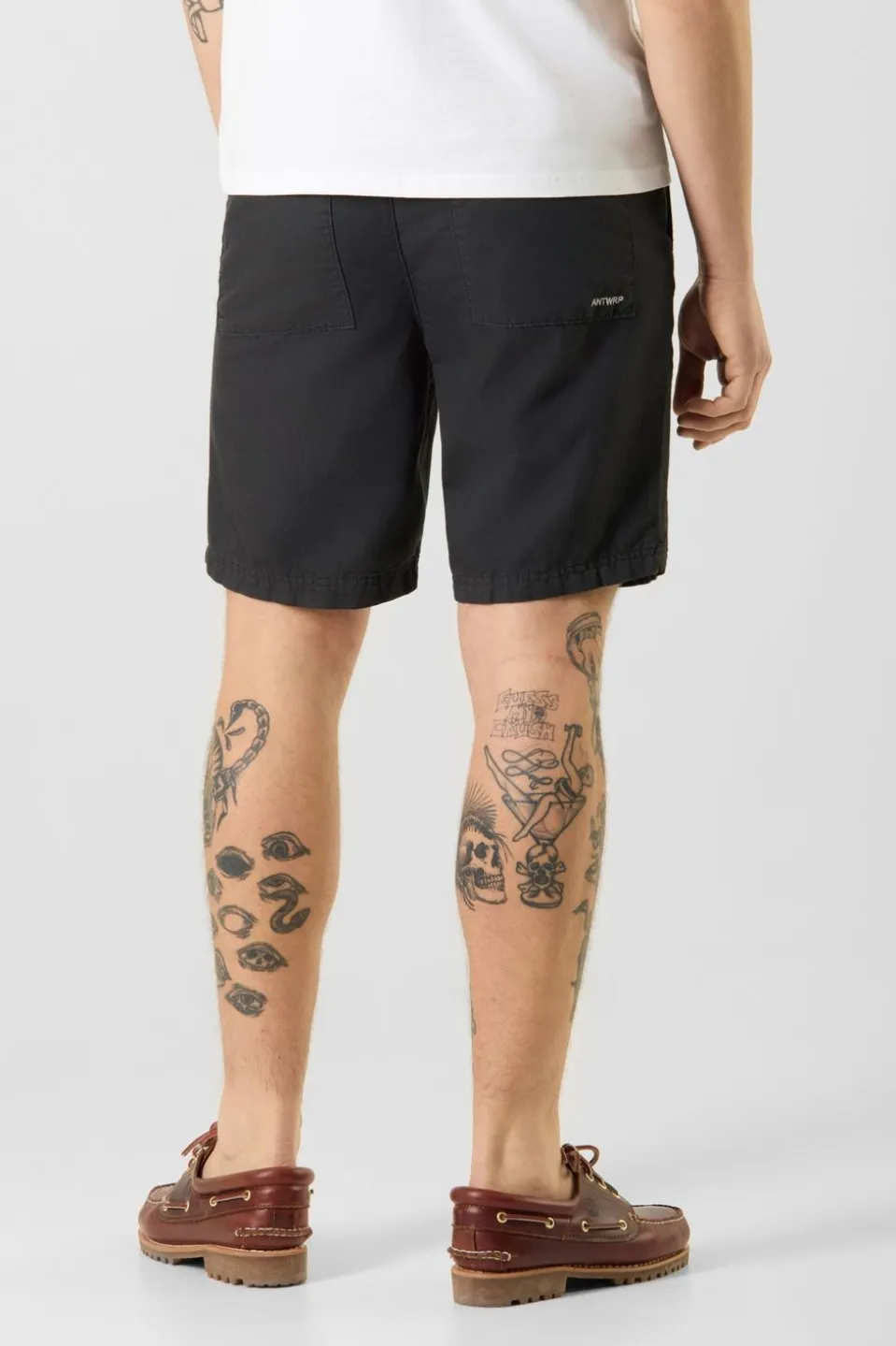 Short Navigator