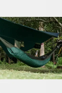 Tarp